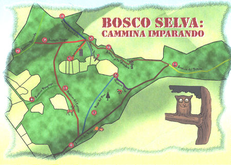 Mappa Bosco Selva